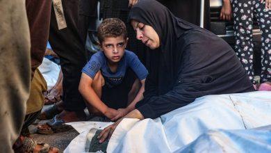 6 شهداء في مجزرة إسرائيلية بمدرسة الفلاح بمدينة غزة 10 744240 جريدة مؤسسة ايجي تايمز