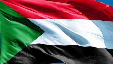 7a7fd474 5422 4f4e a4e7 396de16192c7 1 جريدة مؤسسة ايجي تايمز