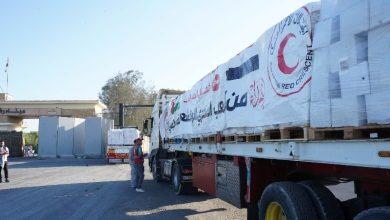 19 2025 638962113220345968 34 جريدة مؤسسة ايجي تايمز