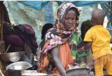 20250616 photo 2025 06 16 19 36 41 jpg07040d image جريدة مؤسسة ايجي تايمز