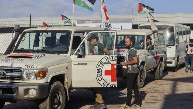 312481 جريدة مؤسسة ايجي تايمز