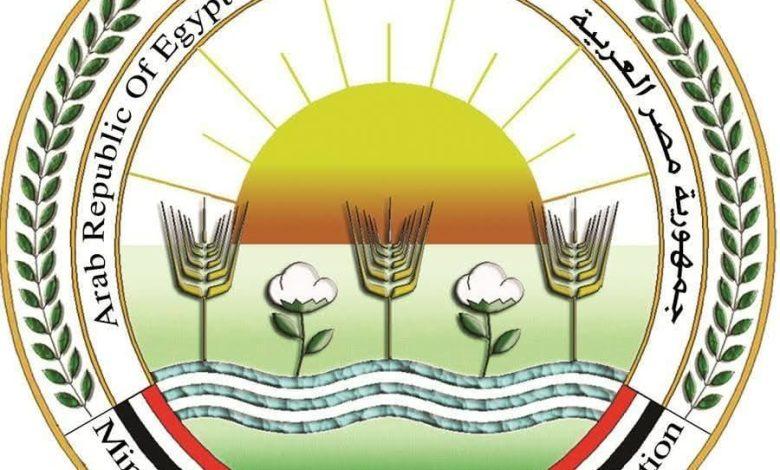 "الزراعة" تنفي صحة فيديو حالات نفوق الماشية المتداول على وسائل التواصل الاجتماعي 1 577322984 1393485052821911 4781824432594285282 n جريدة مؤسسة ايجي تايمز