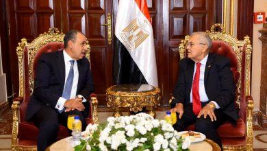 وزير الخارجية يلتقي رئيس مجلس الشيوخ 3 580559650 1399394105564339 5669444302662940470 n جريدة مؤسسة ايجي تايمز