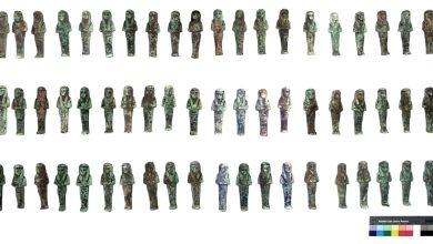 الكشف عن 225 تمثالًا من الأوشابتي الخاصة بالملك شوشنق الثالث بمنطقة صان الحجر الأثرية.. صور 7 585287155 1405452404958509 187016345630469251 n جريدة مؤسسة ايجي تايمز