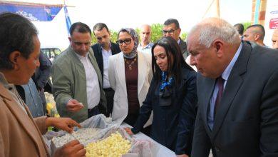 بالصور.. وزيرة التضامن الاجتماعي تتفقد وحدة إنتاج الحرير خلال زيارتها لمحافظة الوادي الجديد 7 586711341 1408097808027302 8076426306899553386 n جريدة مؤسسة ايجي تايمز