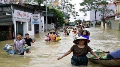 665c9354e41d4 1 جريدة مؤسسة ايجي تايمز