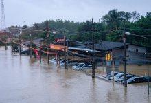 692911b742360466a41c41cf جريدة مؤسسة ايجي تايمز