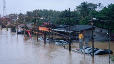 692911b742360466a41c41cf جريدة مؤسسة ايجي تايمز