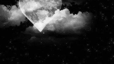 ليتنى ما أستجبت.. بقلم سماح عبد الغني 6 download 30 جريدة مؤسسة ايجي تايمز