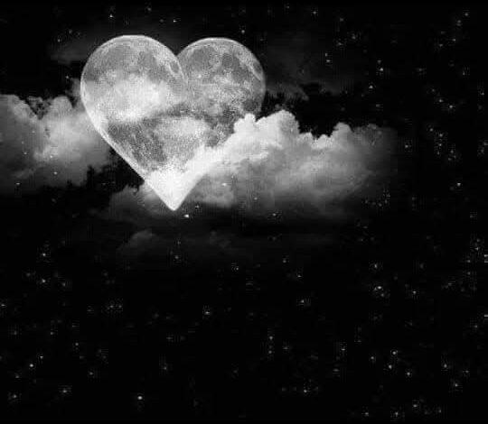 ليتنى ما أستجبت.. بقلم سماح عبد الغني 1 download 30 جريدة مؤسسة ايجي تايمز