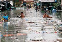 elaosboa39824 جريدة مؤسسة ايجي تايمز