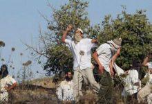 19 2023 638316089647803323 780 1 جريدة مؤسسة ايجي تايمز