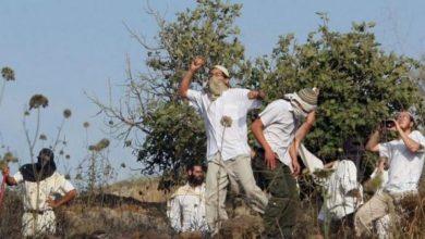 5 مصابين فلسطينيين جراء اعتداءات لمستوطنين في العوجا بالضفة الغربية 4 19 2023 638316089647803323 780 1 جريدة مؤسسة ايجي تايمز