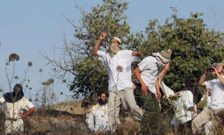 5 مصابين فلسطينيين جراء اعتداءات لمستوطنين في العوجا بالضفة الغربية 1 19 2023 638316089647803323 780 1 جريدة مؤسسة ايجي تايمز