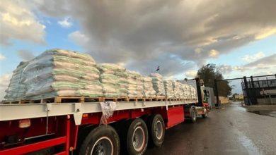 262 جريدة مؤسسة ايجي تايمز