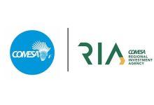 591641593 1397435828383474 8126663864812211410 n 1 جريدة مؤسسة ايجي تايمز