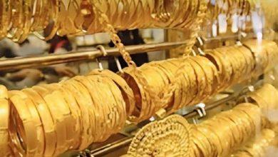 592922283 2067744464025146 9057262063434871728 n جريدة مؤسسة ايجي تايمز