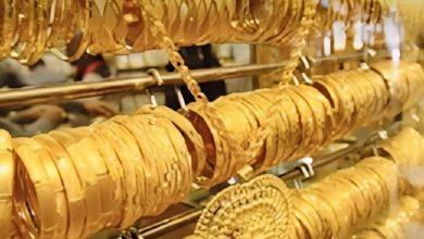 594071355 2067002507432675 5146824025387942155 n جريدة مؤسسة ايجي تايمز