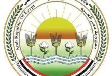 598942886 1425204256316657 4373331092719840471 n جريدة مؤسسة ايجي تايمز