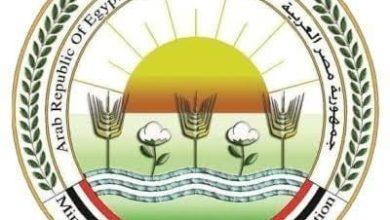 598942886 1425204256316657 4373331092719840471 n جريدة مؤسسة ايجي تايمز