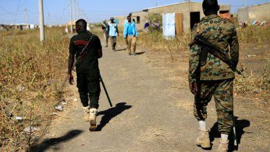 5fd9ec774236040e08097069 جريدة مؤسسة ايجي تايمز