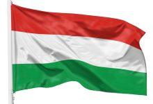 71Vh7xieVwL جريدة مؤسسة ايجي تايمز