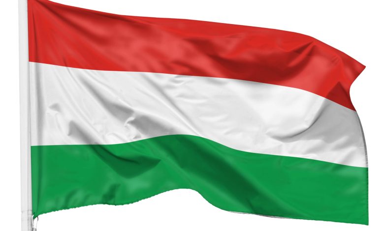 71Vh7xieVwL جريدة مؤسسة ايجي تايمز