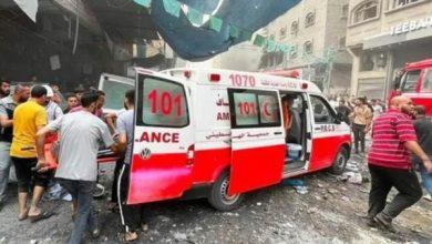 8351016650636202511171117391739 جريدة مؤسسة ايجي تايمز