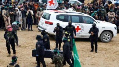 مكتب نتنياهو: الرفات الذي تسلمته إسرائيل من حركة حماس يعود لمواطن تايلاندي 2 8351016650636202512041011461146 جريدة مؤسسة ايجي تايمز