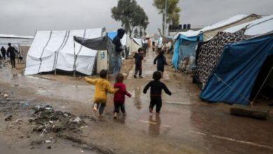 Loza6 جريدة مؤسسة ايجي تايمز