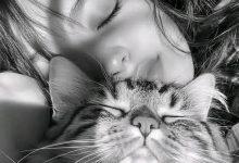 download 1 11 جريدة مؤسسة ايجي تايمز