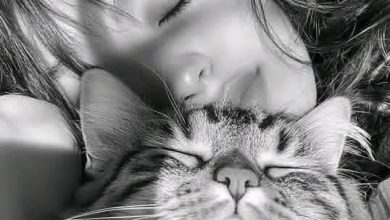 download 1 11 جريدة مؤسسة ايجي تايمز