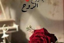 download 11 جريدة مؤسسة ايجي تايمز