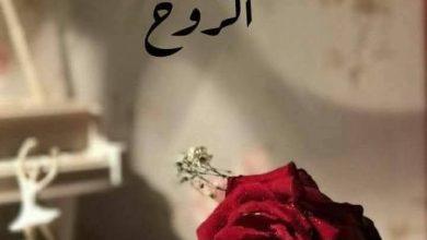 يَسْأَلُنِي قَلْبِي.. بقلم الصحفية سماح عبدالغني 4 download 11 جريدة مؤسسة ايجي تايمز