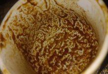 download 11 جريدة مؤسسة ايجي تايمز