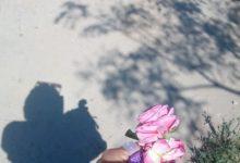 download 28 جريدة مؤسسة ايجي تايمز