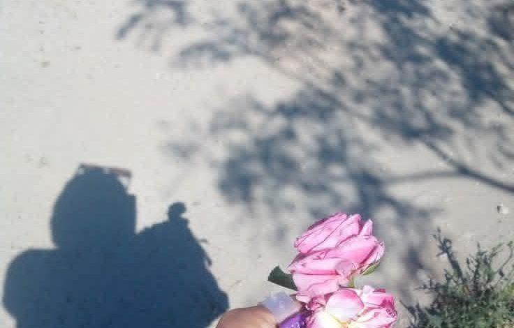 مَسْلُوبُ الْإِرَادَةِ.. بقلم الصحفية سماح عبدالغني 1 download 28 جريدة مؤسسة ايجي تايمز