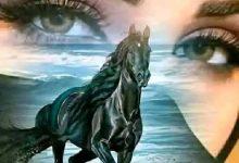 download 40 جريدة مؤسسة ايجي تايمز