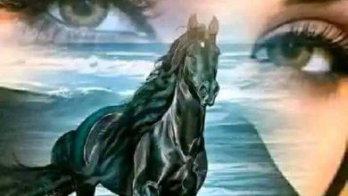 download 40 جريدة مؤسسة ايجي تايمز