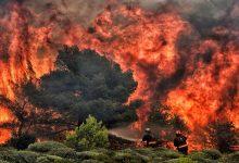 1628231493464 جريدة مؤسسة ايجي تايمز