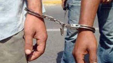 16988459060 جريدة مؤسسة ايجي تايمز