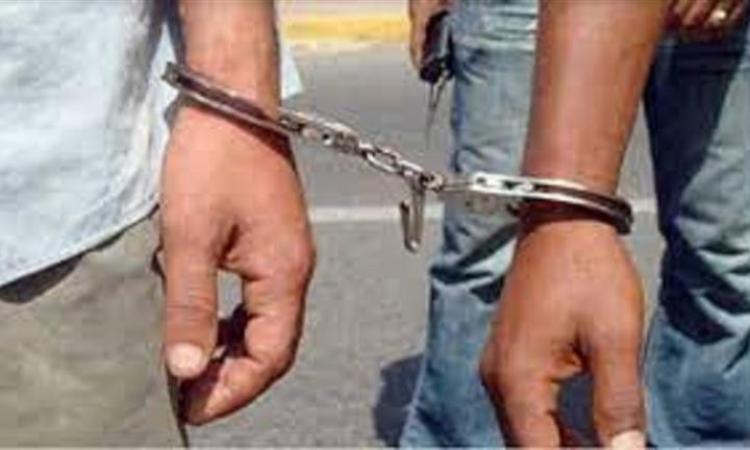 16988459060 جريدة مؤسسة ايجي تايمز