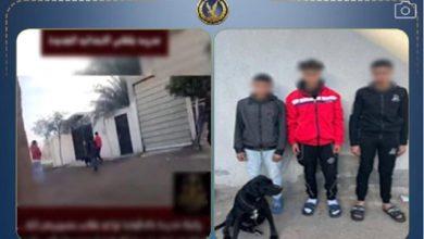 تضرر معلمة من قيام بعض الطلبة وبرفقتهم كلب بالتعدي عليها أمام المدرسة 37 17716826080 جريدة مؤسسة ايجي تايمز