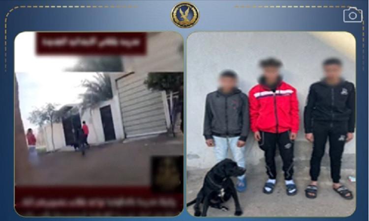 17716826080 جريدة مؤسسة ايجي تايمز