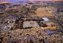 190124041341057khalil 24.1.19 جريدة مؤسسة ايجي تايمز