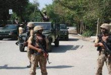 2434336 جريدة مؤسسة ايجي تايمز