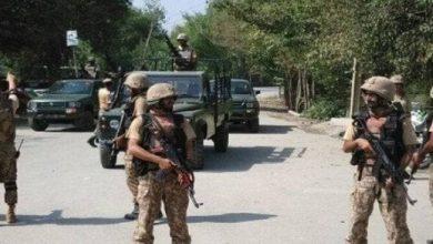 2434336 جريدة مؤسسة ايجي تايمز