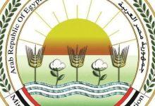 2708576 0 1 جريدة مؤسسة ايجي تايمز