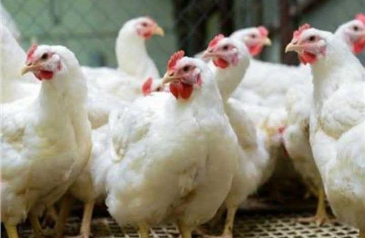 629334433 122109253263215282 6190010445750139248 n جريدة مؤسسة ايجي تايمز