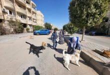 631774513 1476576691179413 3437860157867023761 n جريدة مؤسسة ايجي تايمز